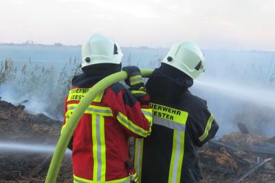 Foto des Albums: Einsatz FEU K - brennt größerer Reethaufen
