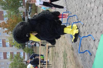 Foto des Albums: 23. Weltkindertagsfest des Netzwerkes Nord