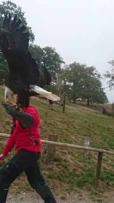 Foto des Albums: Ausflug zum Tierpark Sababurg