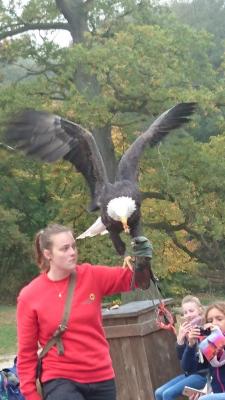 Foto des Albums: Ausflug zum Tierpark Sababurg