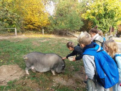 Foto des Albums: Ausflug zum Tierpark Sababurg