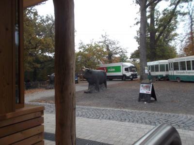 Foto des Albums: Ausflug zum Tierpark Sababurg