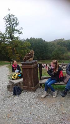 Foto des Albums: Ausflug zum Tierpark Sababurg