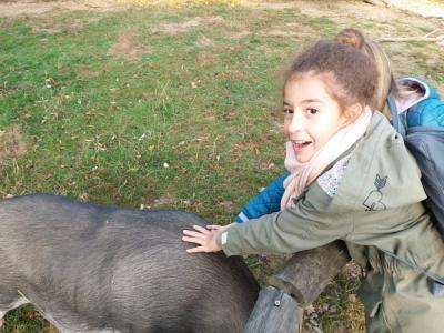 Foto des Albums: Ausflug zum Tierpark Sababurg