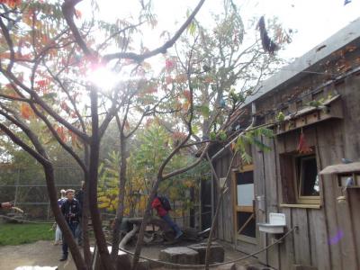 Foto des Albums: Ausflug zum Tierpark Sababurg