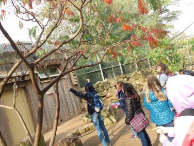 Foto des Albums: Ausflug zum Tierpark Sababurg