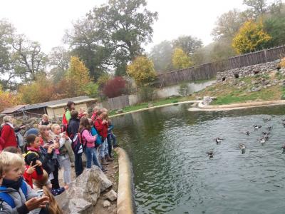 Foto des Albums: Ausflug zum Tierpark Sababurg