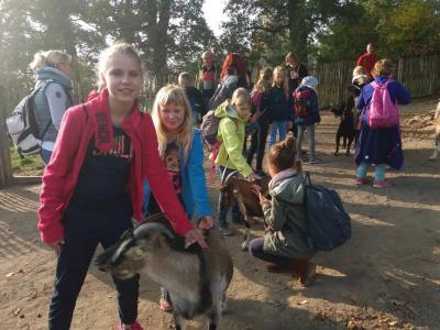 Foto des Albums: Ausflug zum Tierpark Sababurg