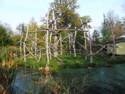 Foto des Albums: Ausflug zum Tierpark Sababurg