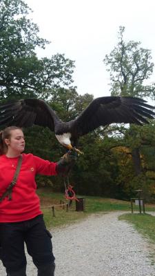 Foto des Albums: Ausflug zum Tierpark Sababurg
