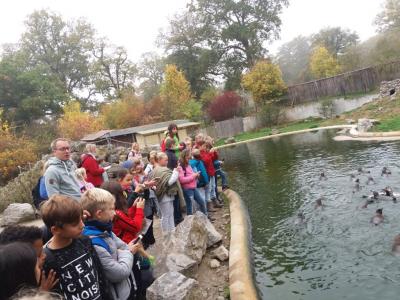 Foto des Albums: Ausflug zum Tierpark Sababurg