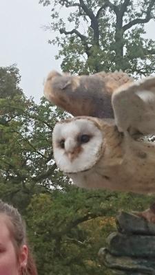 Foto des Albums: Ausflug zum Tierpark Sababurg