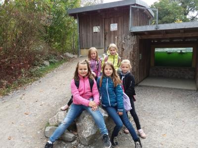 Foto des Albums: Ausflug zum Tierpark Sababurg