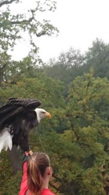 Foto des Albums: Ausflug zum Tierpark Sababurg