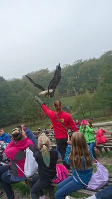 Foto des Albums: Ausflug zum Tierpark Sababurg