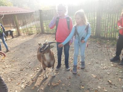 Foto des Albums: Ausflug zum Tierpark Sababurg