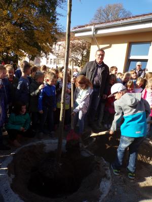 Foto des Albums: Einweihung neuer Speisesaal