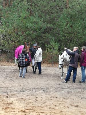 Foto des Albums: Fuchsjagd in Uenze