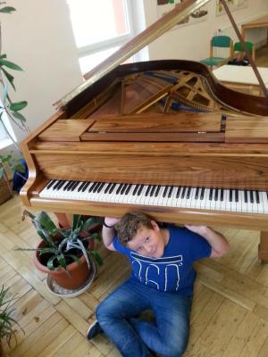 Foto des Albums: Piano-Festival in Vorbereitung