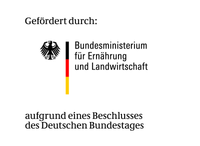 Foto des Albums: Land auf Schwung