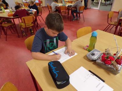 Foto des Albums: Schulrunde der Mathematikolympiade