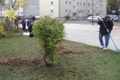 Foto des Albums: Arbeitseinsatz mit Schule und Hort (27.10.2018)