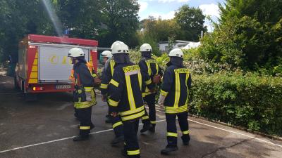 Foto des Albums: Leistungsabzeichen in Wasserliesch