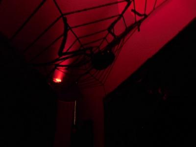 Foto des Albums: Halloweenspektakel
