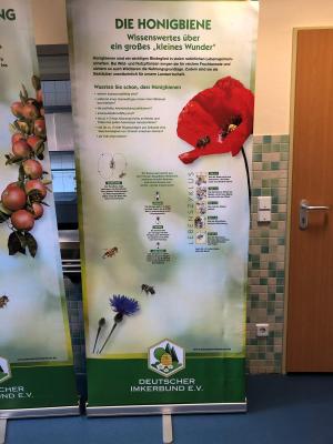 Inforunde zu Bienen, Wespen und Hornissen  (Bild vergr&ouml;&szlig;ern)