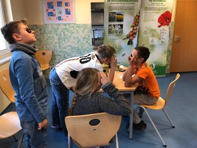 Wie Insekten sehen  (Bild vergr&ouml;&szlig;ern)