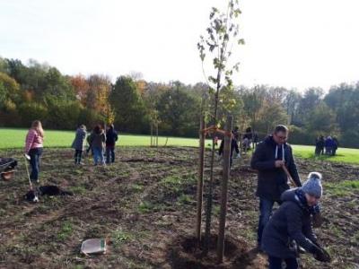 Foto des Albums: Bürgerwald 2018 (06.11.2018)