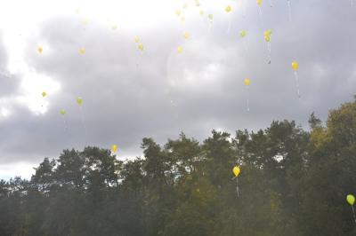 Vorschaubild: Luftballons in der Luft