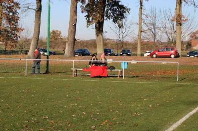 Foto des Albums: Kreispokal Häsener SV - SG Storkow