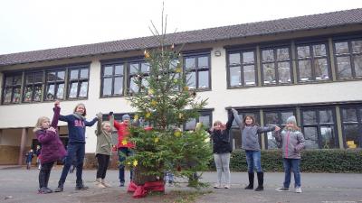 Foto des Albums: Kreativtag