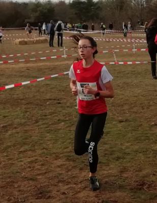 Foto des Albums: Deutsche Cross Darmstadt 2018