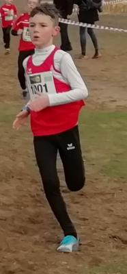 Foto des Albums: Deutsche Cross Darmstadt 2018