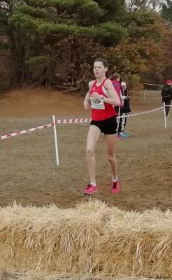 Foto des Albums: Deutsche Cross Darmstadt 2018