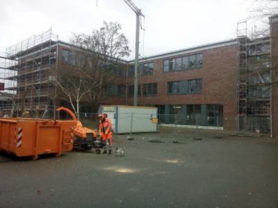 Foto des Albums: Baumfällen für die Schulhofgestaltung