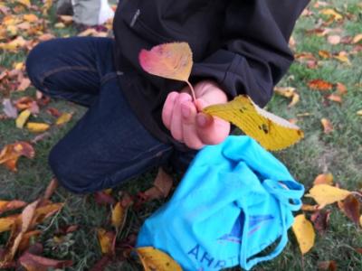 Foto des Albums: Herbstwanderung der Löwen