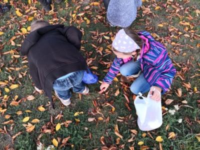 Foto des Albums: Herbstwanderung der Löwen