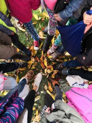Foto des Albums: Herbstwanderung der Löwen