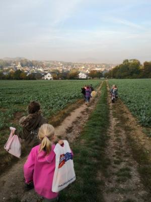 Foto des Albums: Herbstwanderung der Löwen