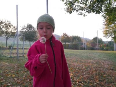 Foto des Albums: Herbstwanderung der Löwen