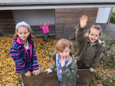 Foto des Albums: Herbstwanderung der Löwen