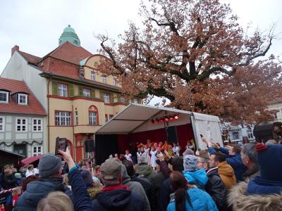 Foto des Albums: Kyritzer Weihnachtsmarkt (09.12.2018)