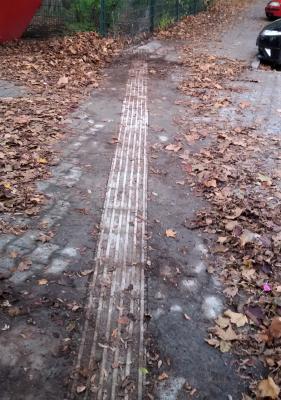 Allee (1)  (Bild vergr&ouml;&szlig;ern)