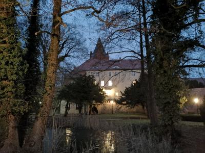 Foto des Albums: Weihnachtsmarkt auf der Plattenburg