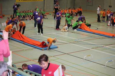 Foto des Albums: Mach`s mit, mach´s nach, mach´s besser (Vorrunde/Finale)