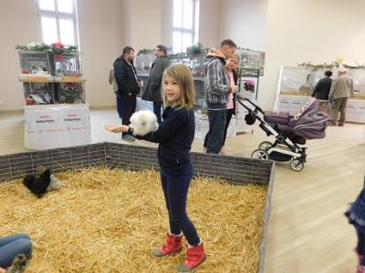 Foto des Albums: OT Schadeleben Geflügelausstellung