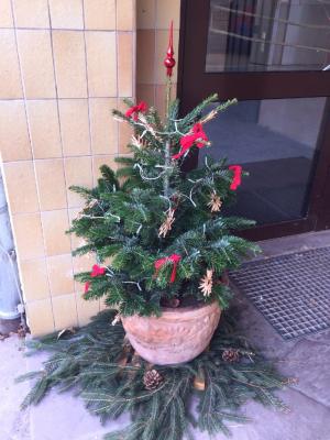 Foto des Albums: Weihnachts-Impressionen